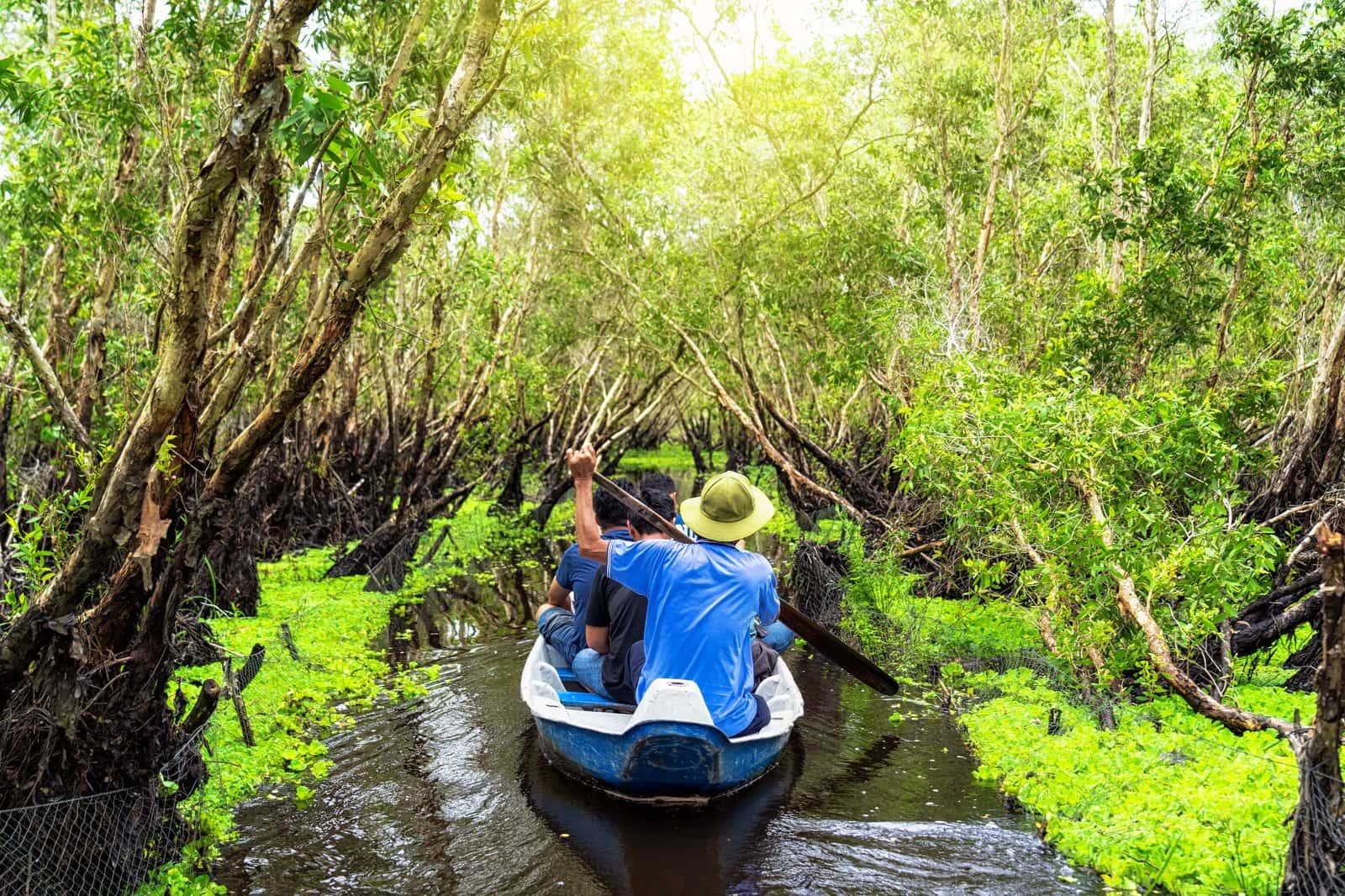 Cruise Through the Mangroves in India Group Tours