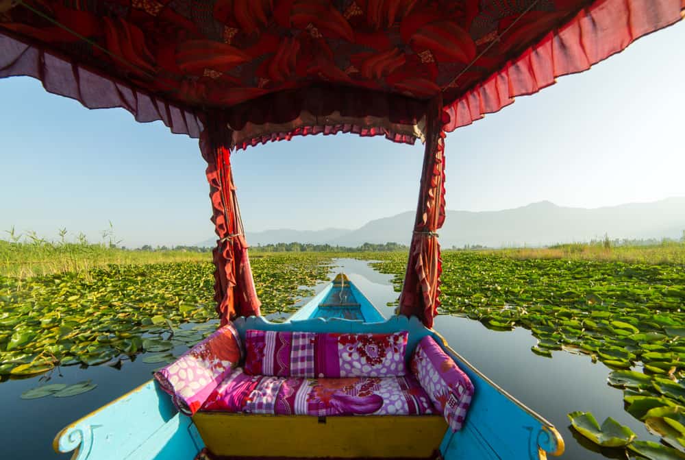 Enjoy a Shikara Ride on Dal Lake in Kashmir