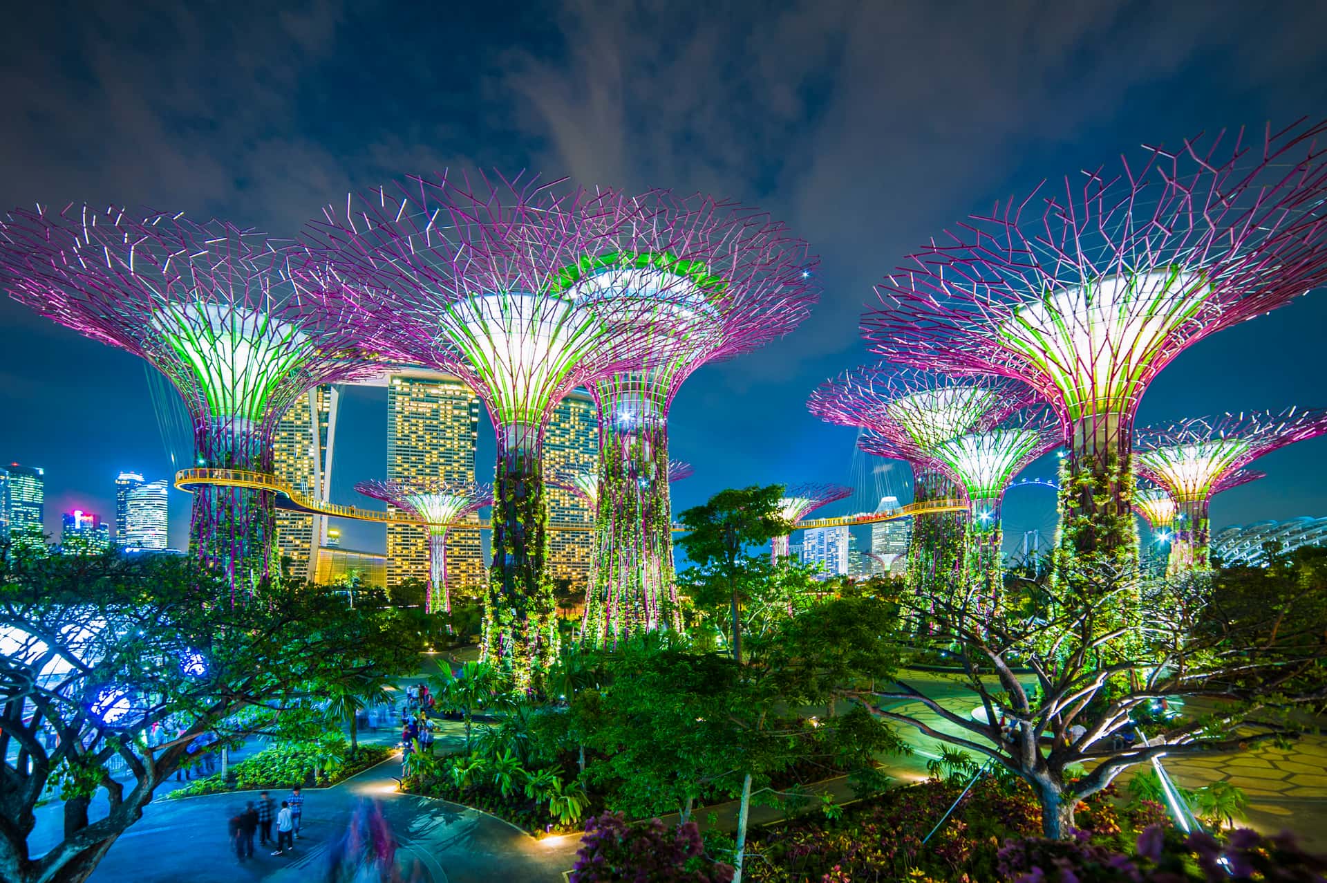 Gardens By The Bay in Southeast Group Tours