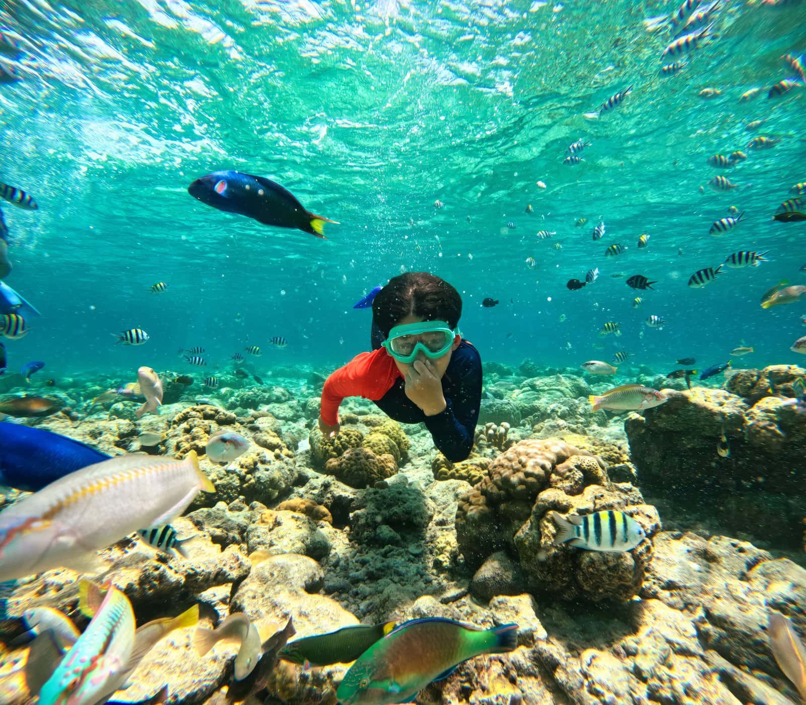 Go Snorkeling At Pigeon Island in India Group Tours