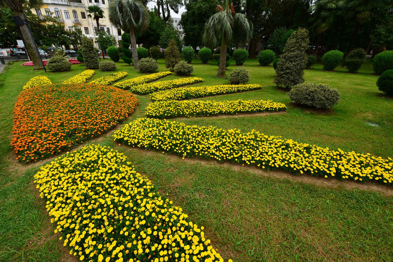 Hakgala Botanical Garden in India Group Tours