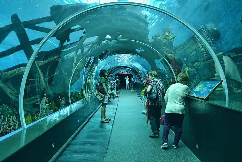 Marine Park S.E.A Aquarium in Southeast Group Tours