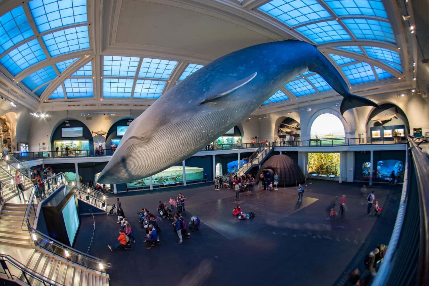 SeaWorld San Diego in United States