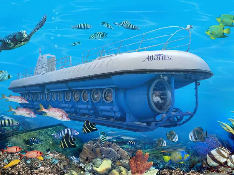 Go for a Submarine Ride in Maldives in Maldives Honeymoon Packages