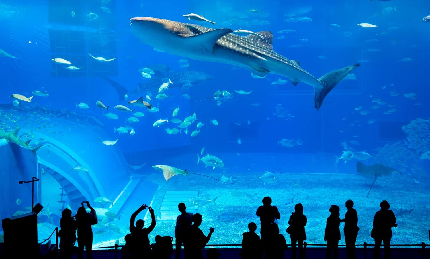 Aquaria KLCC in Southeast Group Tours
