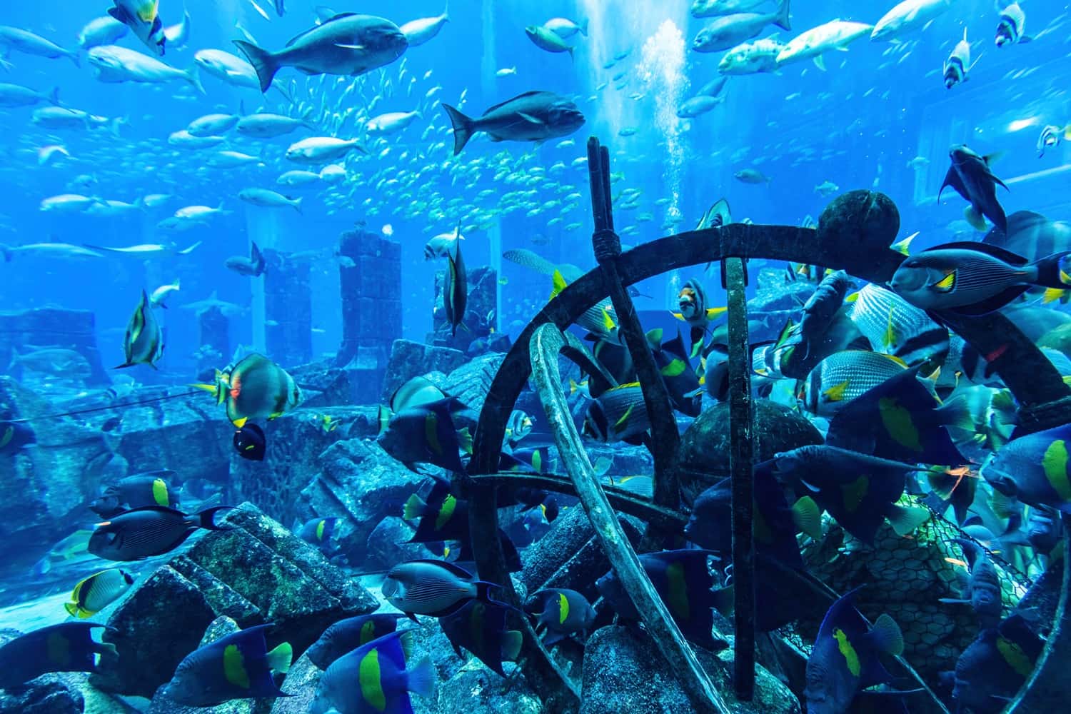 Aquaventure & Lost Chambers in Dubai Group Tour