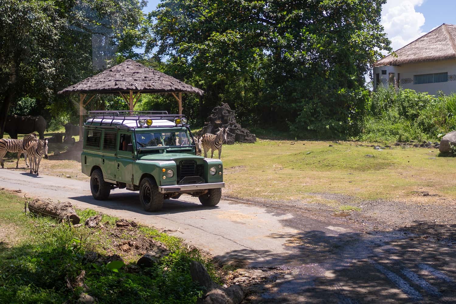 Bali Safari & Marine Park in Southeast Group Tours