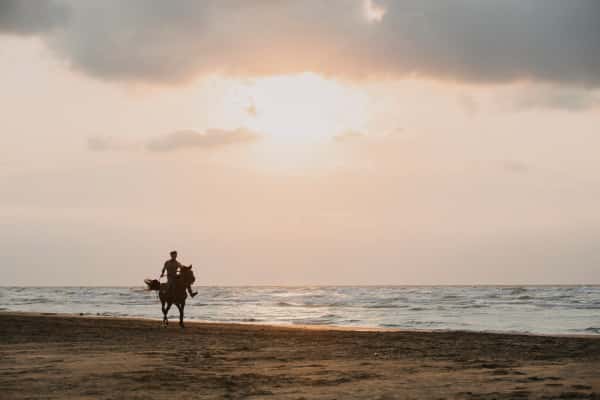 Horse Riding On The Beach in Southeast Group Tours