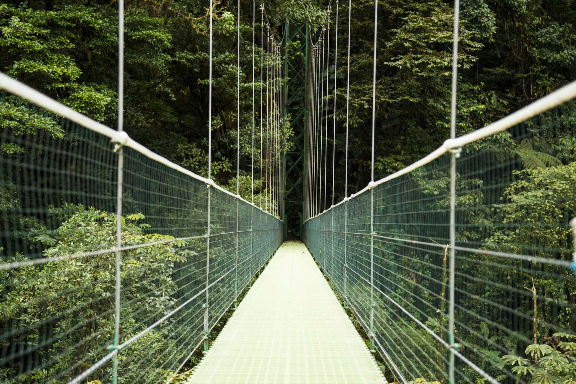 Capilano Suspension Bridge in Canada Group Tours