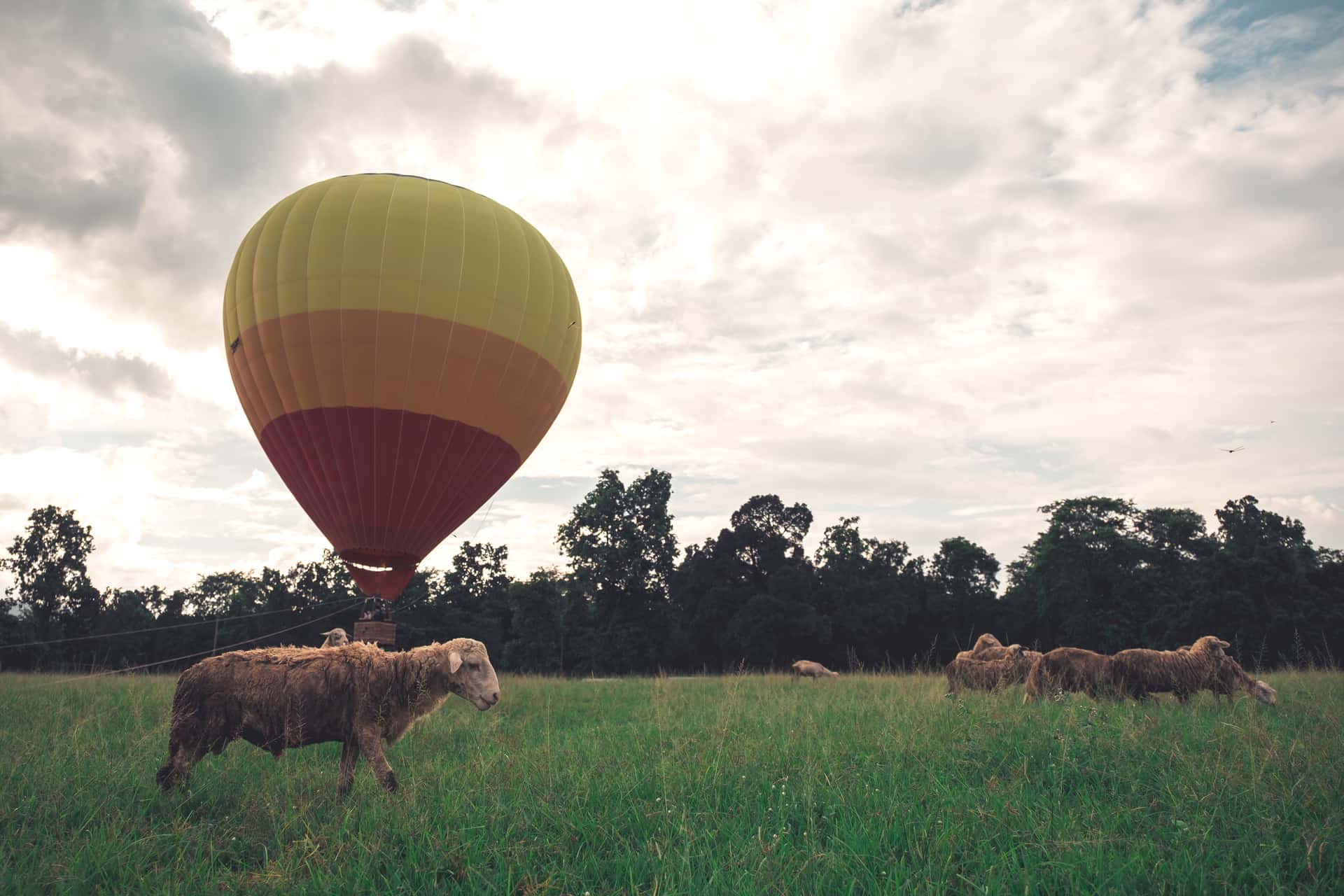 Go Hot Air Ballooning across the picturesque Yarra Valley in Australia Honeymoon Packages