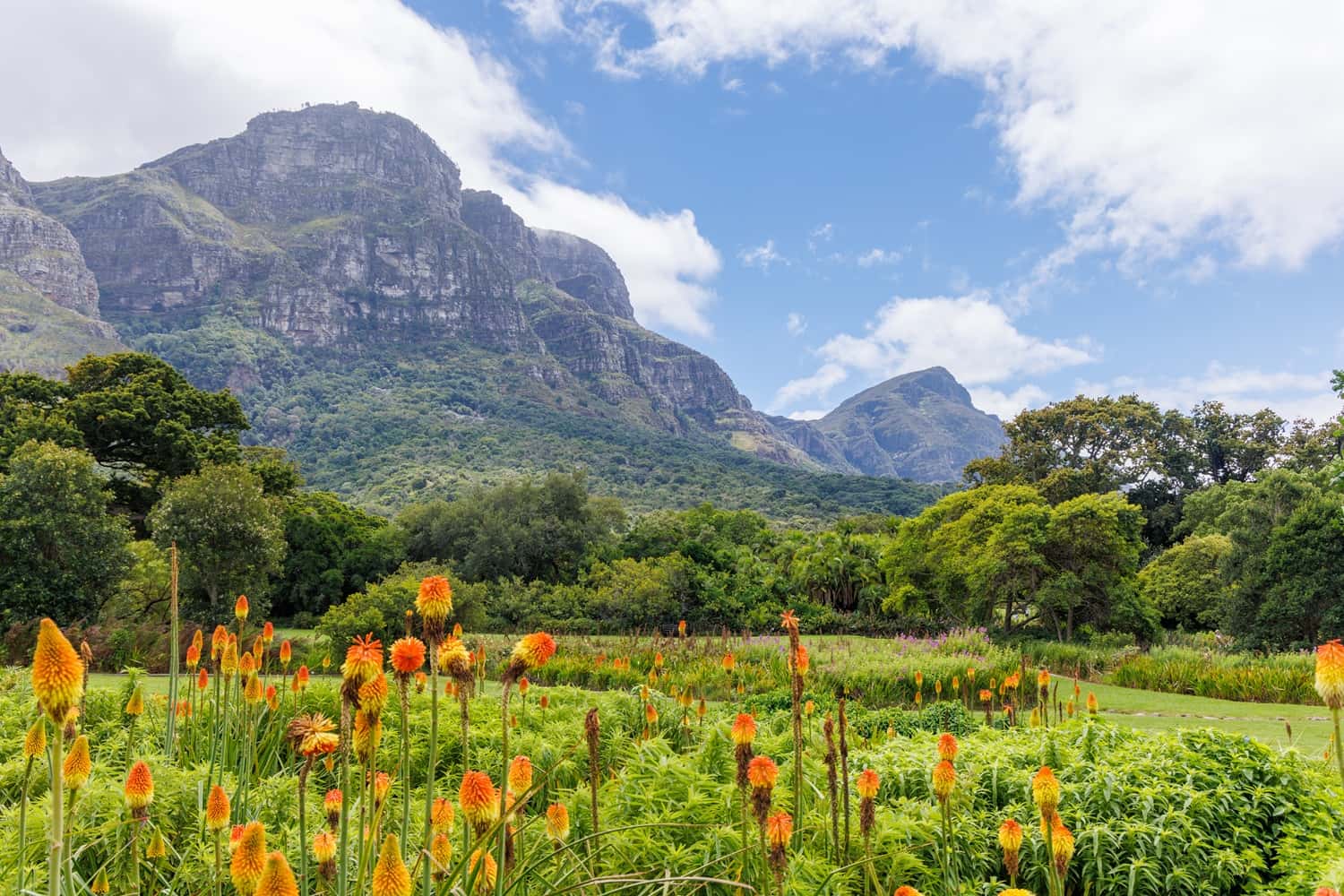 Kirstenbosch Botanical Garden in South Africa Honeymoon Packages