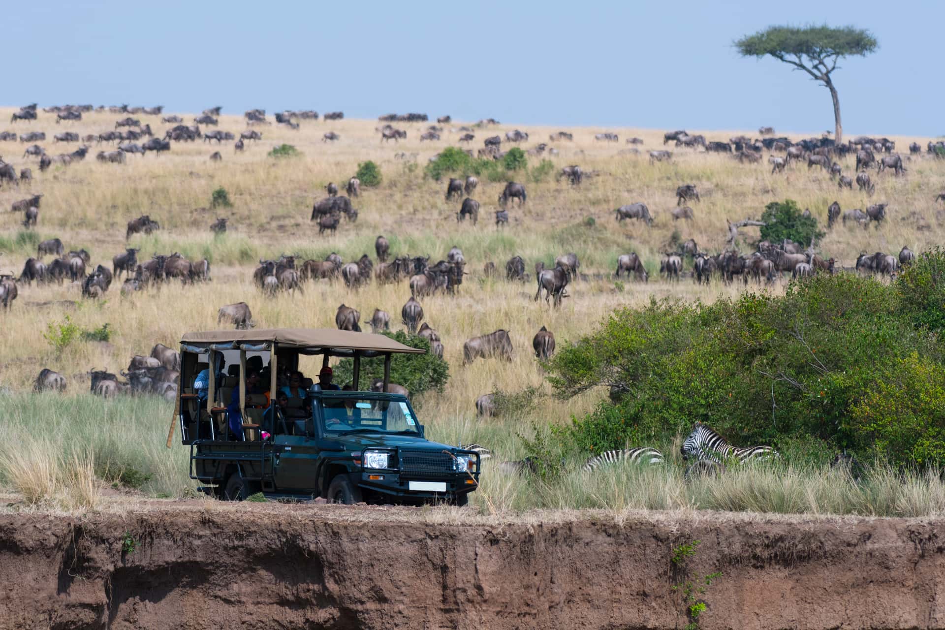 Masai Mara Game Drive in All of Africa