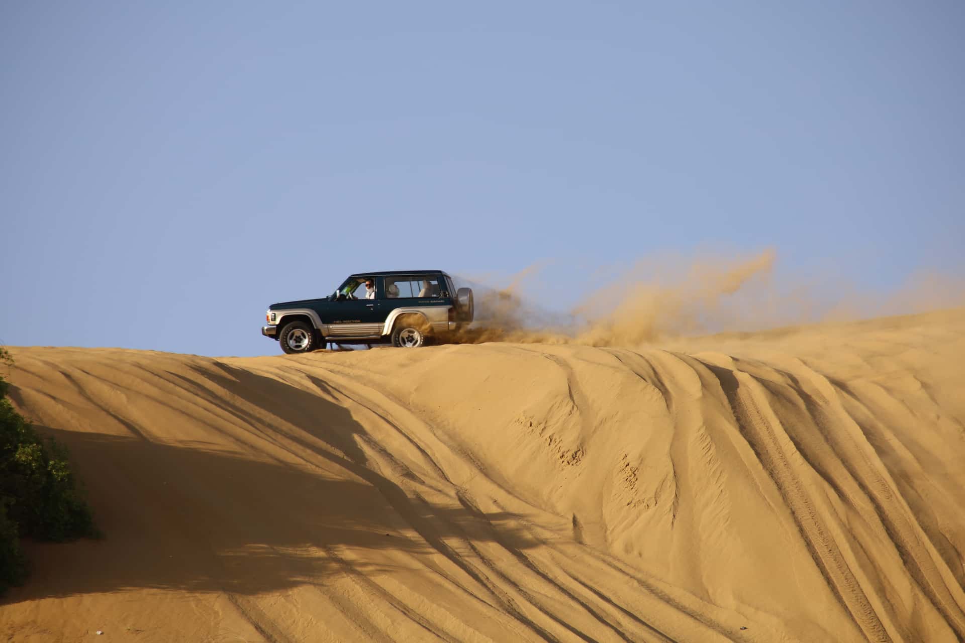 Desert Safari with BBQ Dinner in Dubai Group Tour