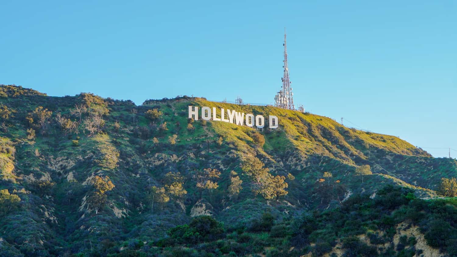 Say hello to Hollywood in United States