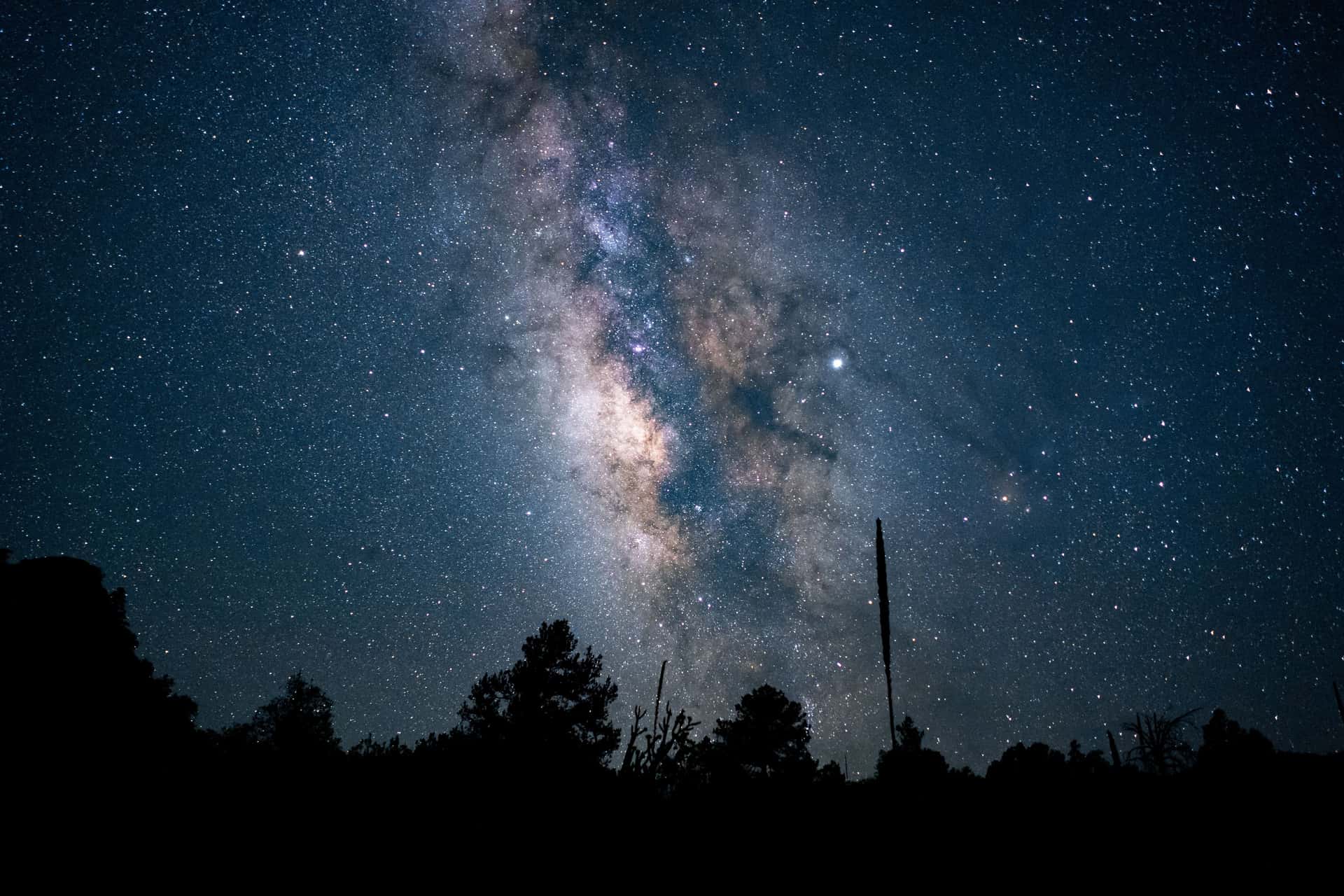 Stargaze In Jasper in Canada Group Tours