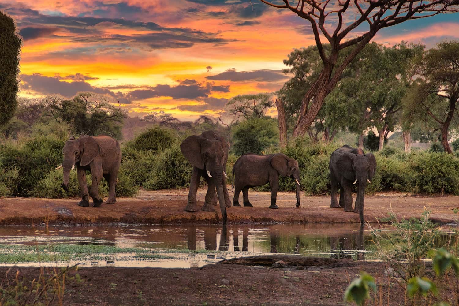 Suncity resort in South Africa Honeymoon Packages