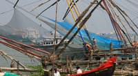 Chinese Fishing Nets