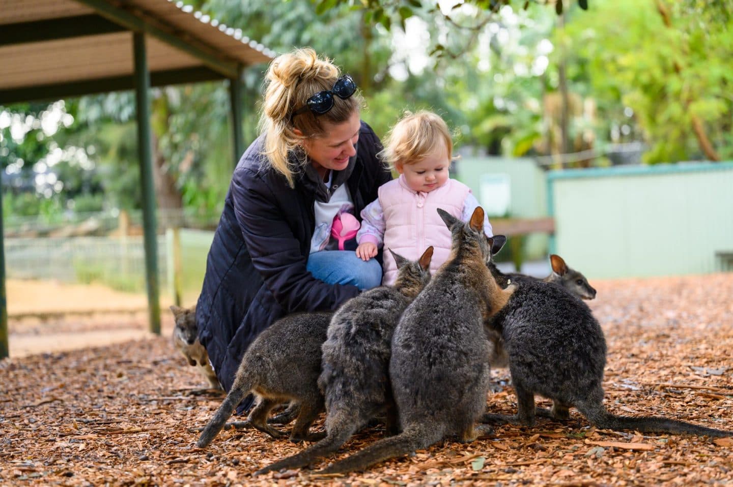 Featherdale Wildlife Park