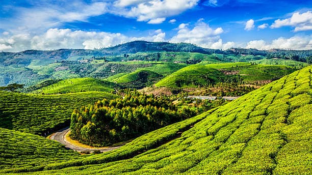 Munnar