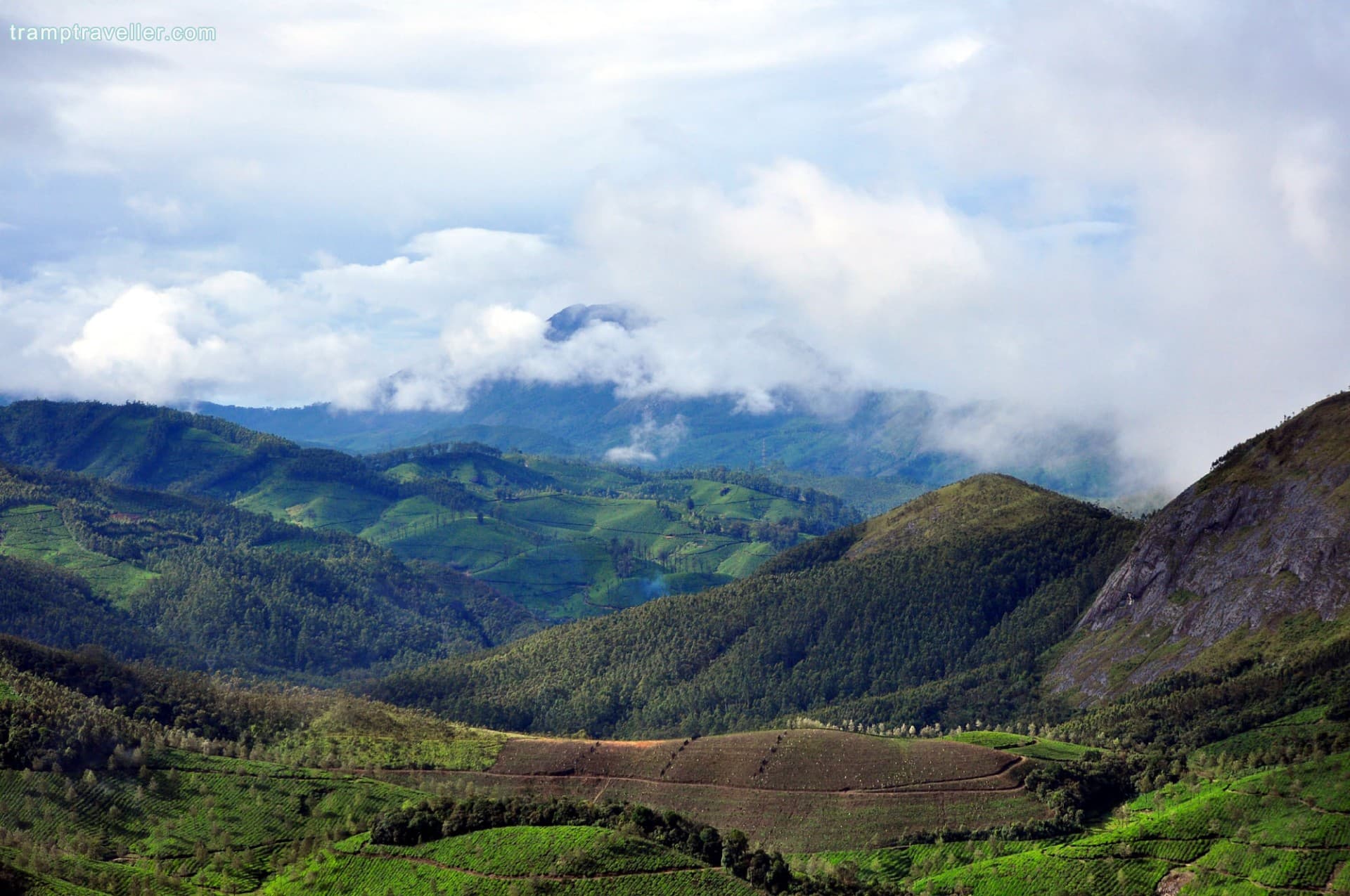 Rajamalai (Eravikulam) National Park