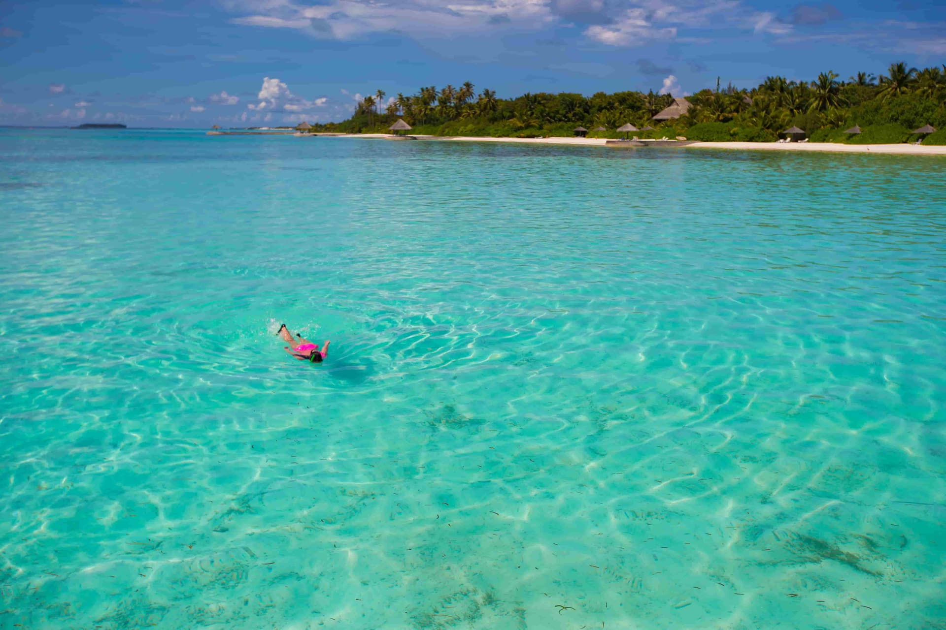 Snorkelling in Crystal Clear Water