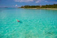 Snorkelling in Crystal Clear Water