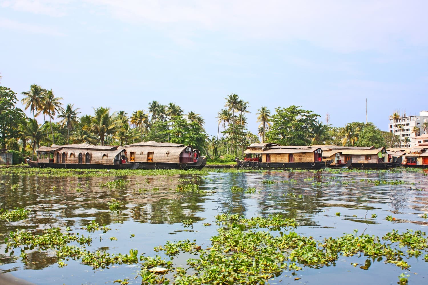 Stay at houseboats in Alleppey
