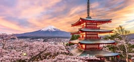Japan Group Tours tour package theme