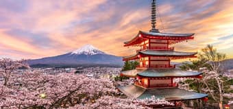 Japan Group Tours