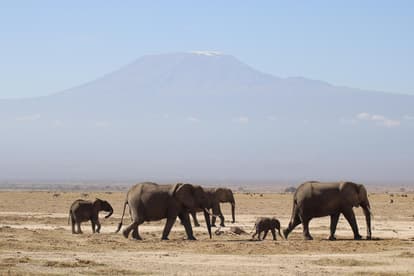 Climb Mount Kilimanjaro