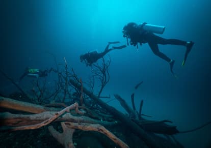 Scuba Dive in El Nido