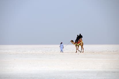 Explore Rann of Kutch
