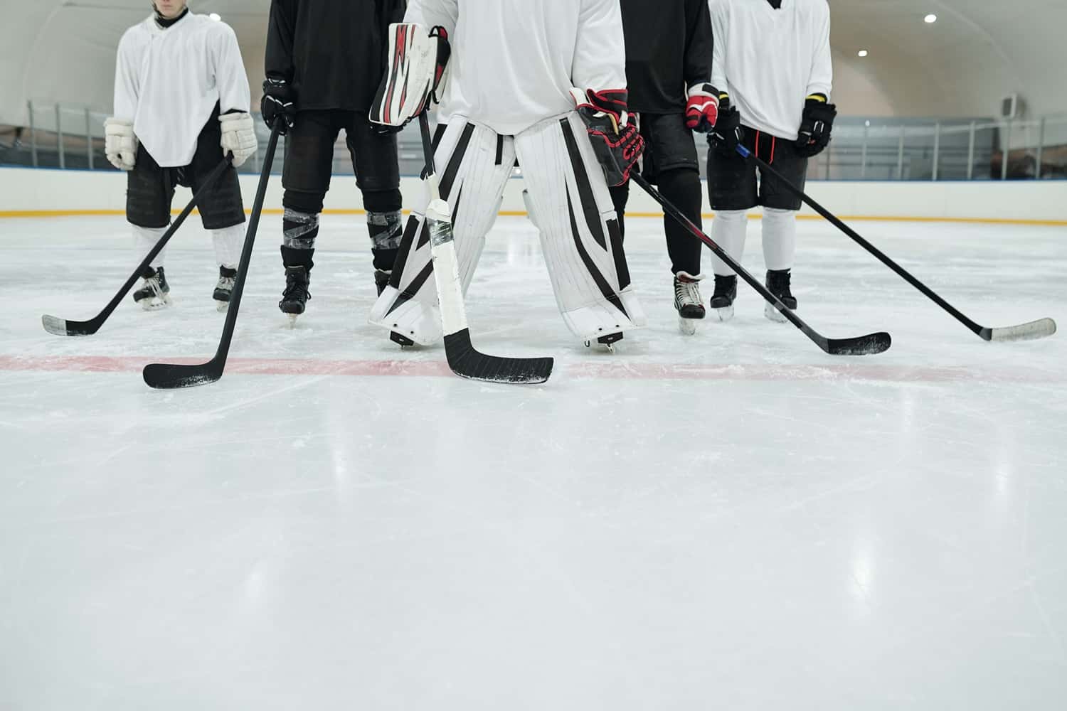 Get Up Close To An Ice Hockey Team in Canada Group Tours